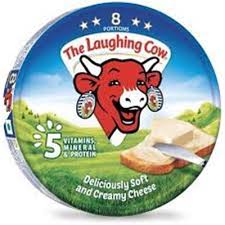 The Laughing Cow 16 Portions 224G